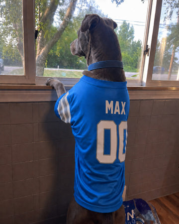 custom football dog jerseys