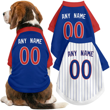 Dog wearing custom baseball-style jersey in Royal and White colors with personalized name and number
