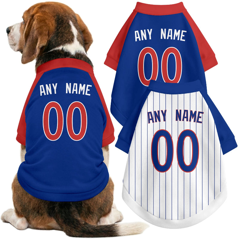 Dog wearing custom baseball-style jersey in Royal and White colors with personalized name and number